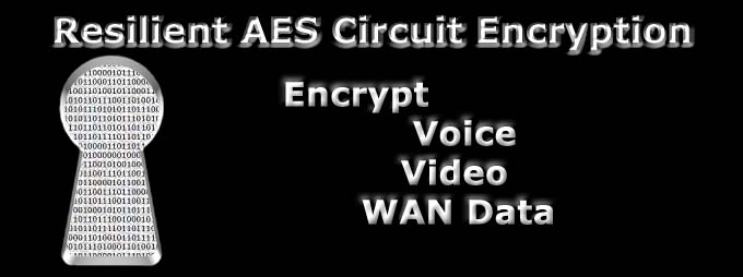Circuit Encryption, Encrypt Voice Video WAN Data