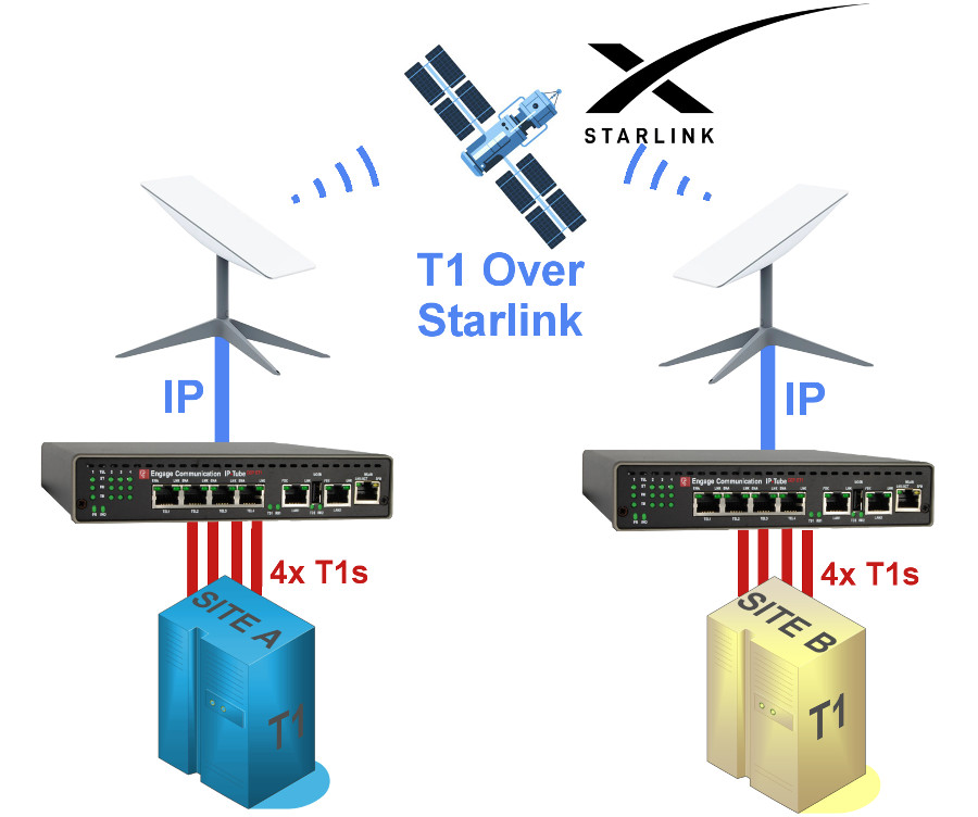 Protector Option Diagram